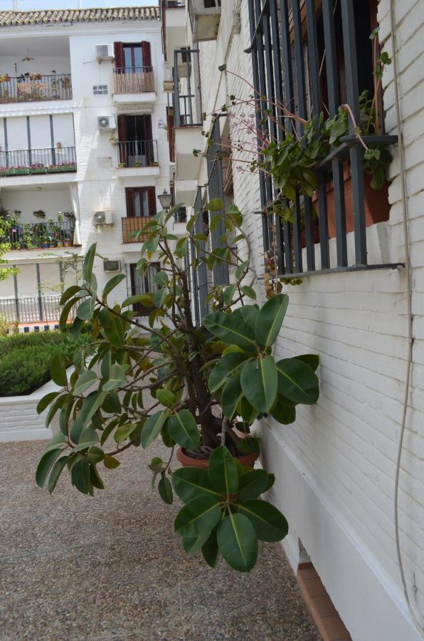 Apartament La Casa De Jose Manuel Sewilla Zewnętrze zdjęcie